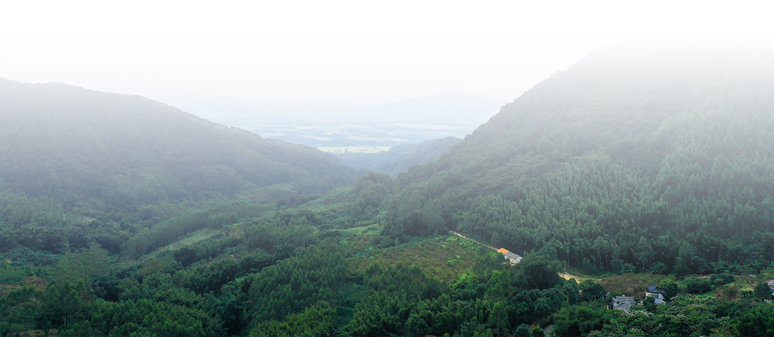 惠州龍門 - 坐落森林深處的工廠